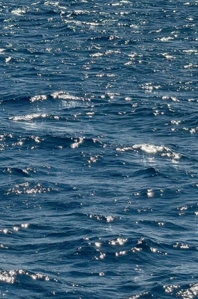 Wild Marine Collagen
